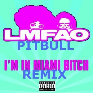 'LMFAO feat. Pitbull'の画像
