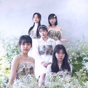La Flor 的头像