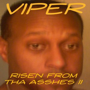 Risen From Tha Ashes II