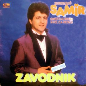 Zavodnik