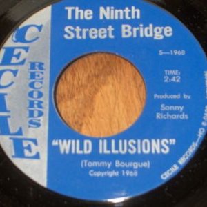 Avatar for The Ninth Street Bridge