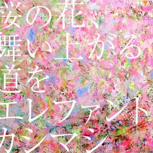 桜の花、舞い上がる道を