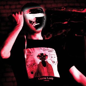 Goose Loop 的头像