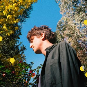 Mimose (Deluxe)