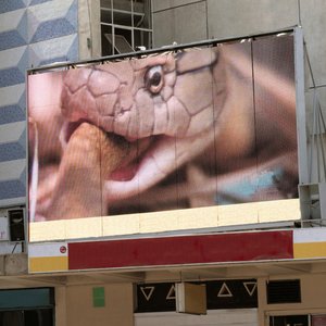 Poison - Every Rose Has Its Thorn, Live Lyrics - Zortam Music