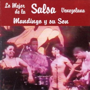 Mandingo y su Son 的头像