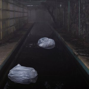 Plagued By Meaning