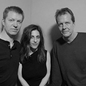 “Nels Cline, Andrea Parkins, Tom Rainey”的封面