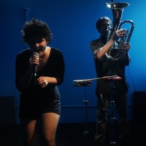 Avatar for Lily & Horn Horse