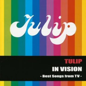 IN VISION - Best Songs from TV