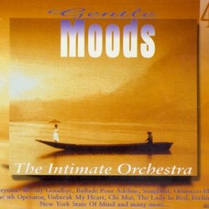 The Intimate Orchestra 的头像