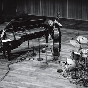 Kit Downes, Petter Eldh, James Maddren 的头像