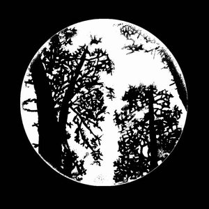 Old Moon