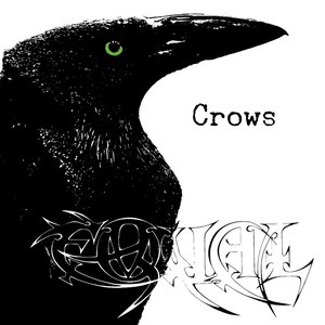 Crows