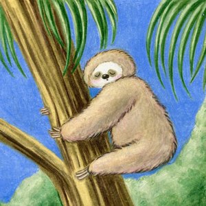 Sloth