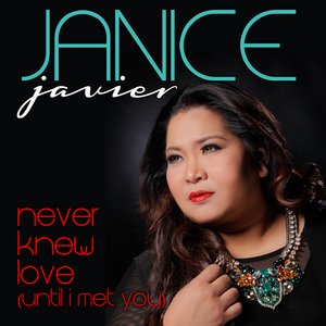 Never Knew Love (Until I Met You)