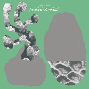 Seabed-Sunbath