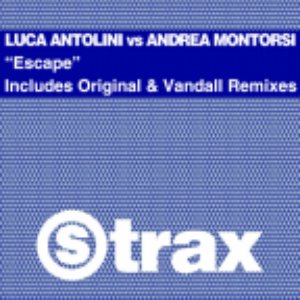 Luca Antolini & Andrea Montorsi 的头像