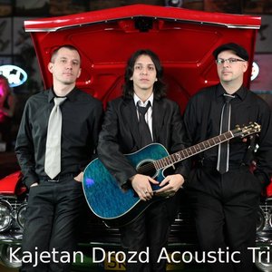 Kajetan Drozd Acoustic Trio 的头像