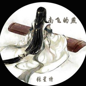 南飞的雁