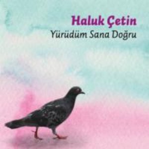 “Haluk Çetin”的封面