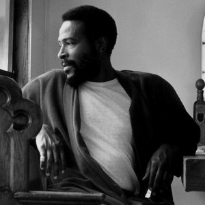 Marvin Gaye 的头像