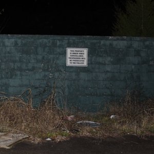 Five Songs from Fall