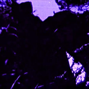 ADiaBlanca 的头像