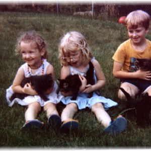 “Kids and Kittens”的封面