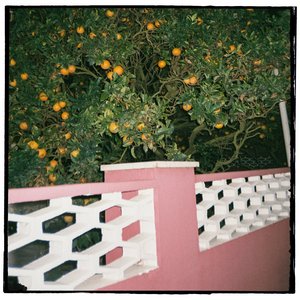 Poem #2 - Single
