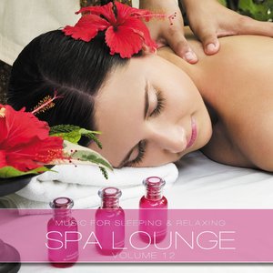 SPA Lounge, Vol. 12