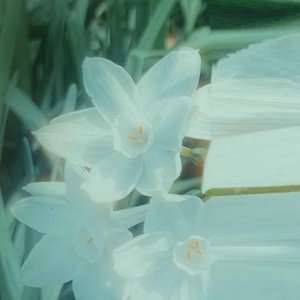 waypoint - Single