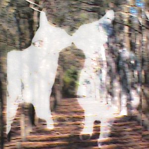 soulbound [Explicit]