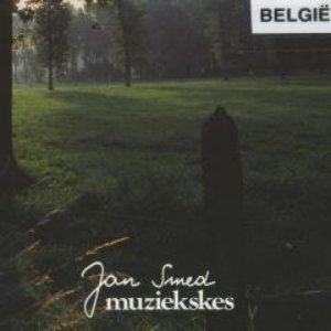 Muziekskes