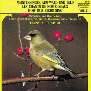 How Our Birds Sing, Vol. 2