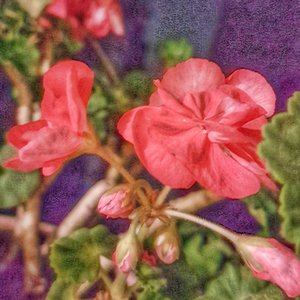 Finding Beauty Through Chaos & Simplicity