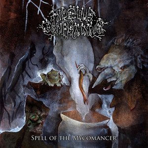 Image for 'Spell of the Mycomancer'