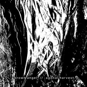 Agonal Harvest