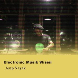 Electronic Musik Wisisi