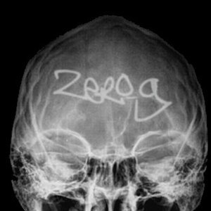 Zero_g 的头像