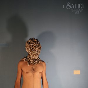 i salici 的头像