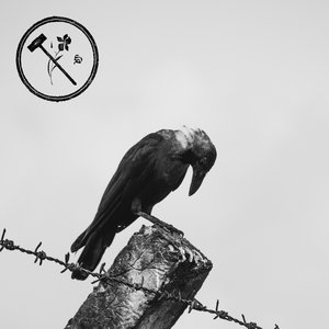 Sheer Panic - EP