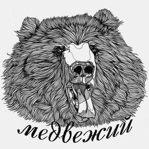 медвежий 的头像