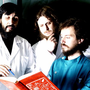 Wah Companion photo provided by Last.fm