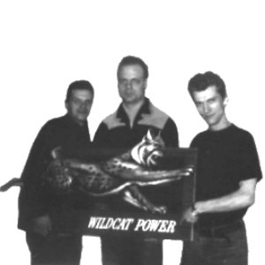 SKINNY JIM & THE WILDCATS 的头像