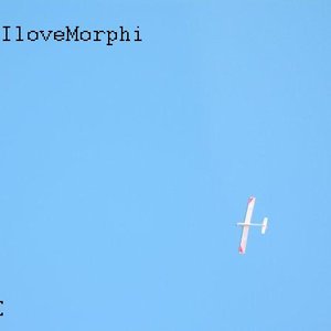 IloveMorphi 的头像