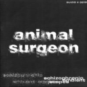 Animal Surgeon 的头像