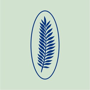 Organic Name 的头像