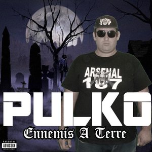 Pulko 的头像