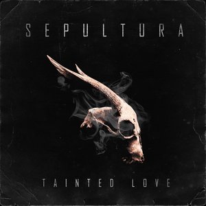 Tainted Love - Single